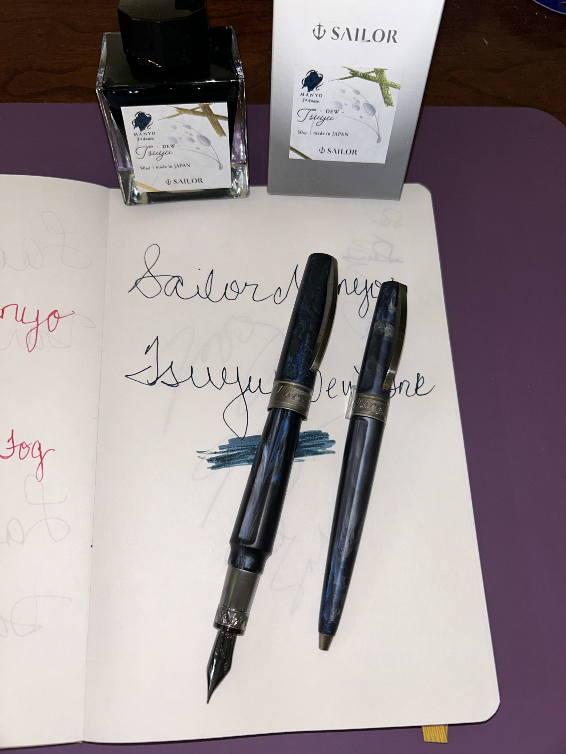 VISCONTI POSEIDON PENS AND SAILOR MANYO TSUYU INK