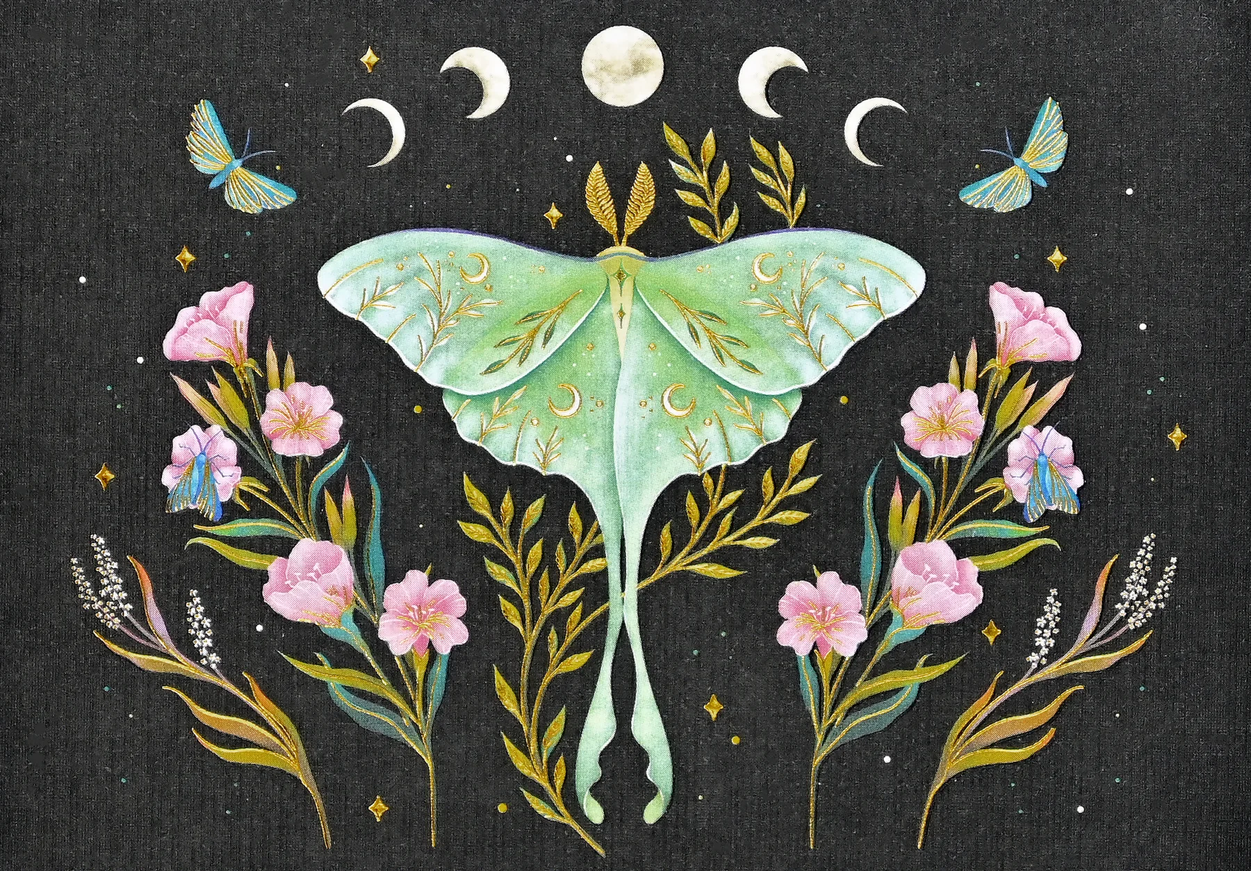 NOTE CARD SET LUNA MOTH