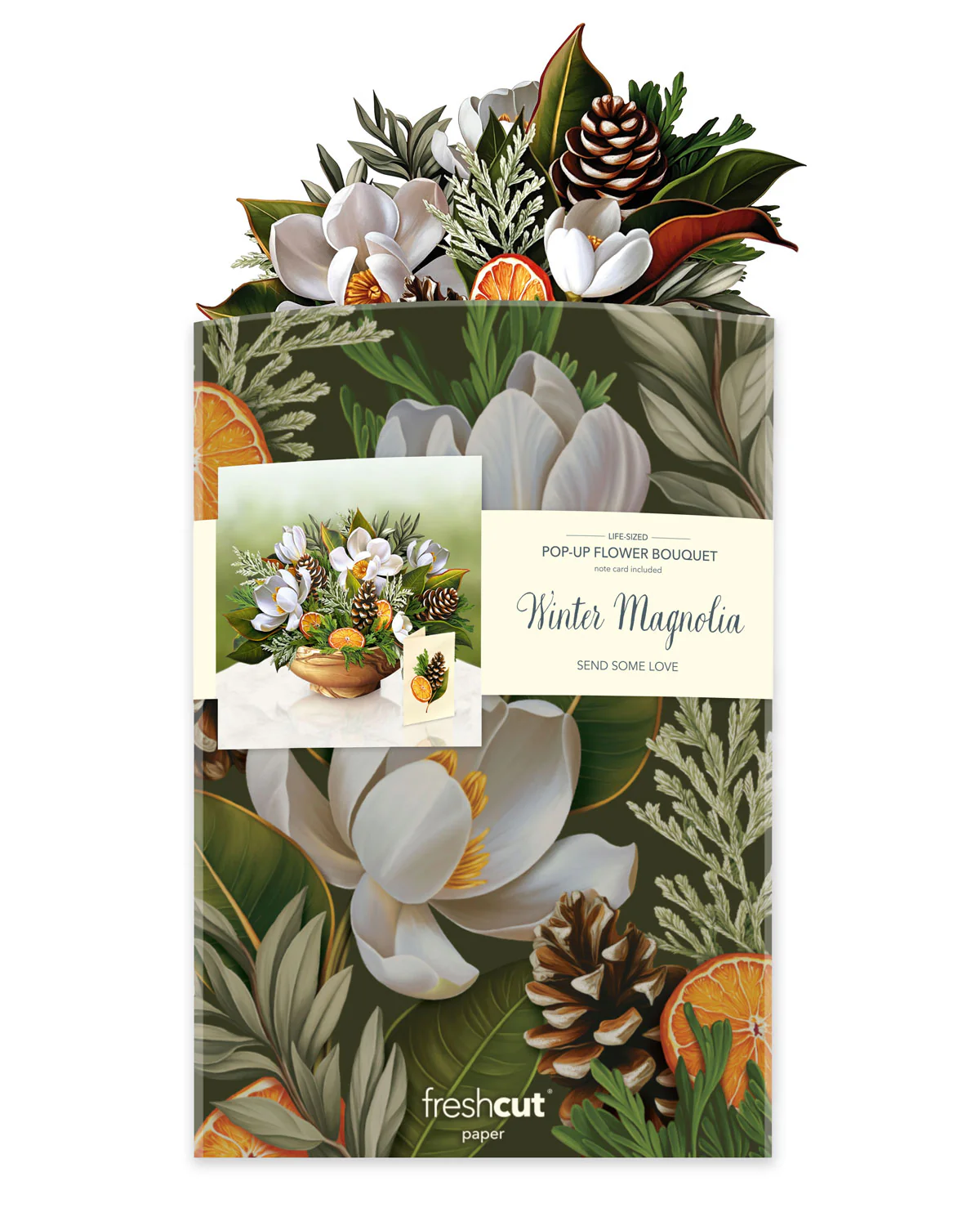 FRESHCUT PAPER WINTER MAGNOLIA