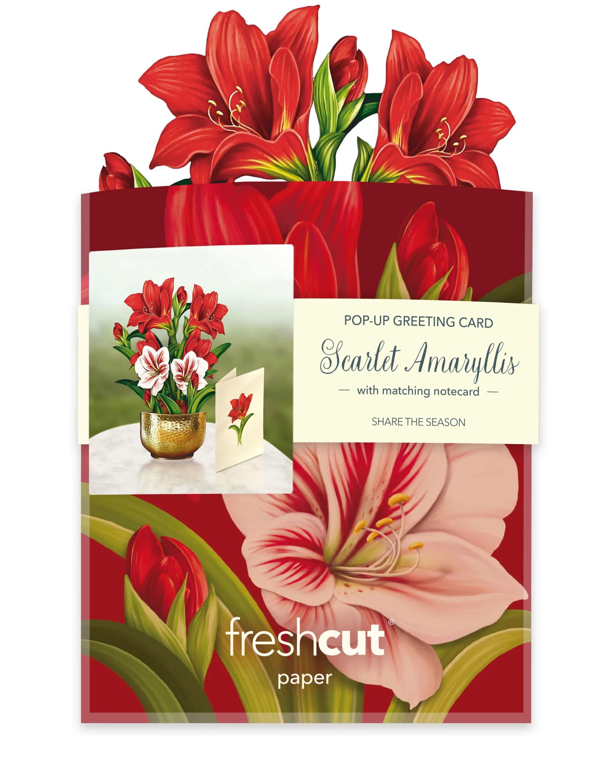 FRESHCUT PAPER MINI SCARLET AMARYLLIS